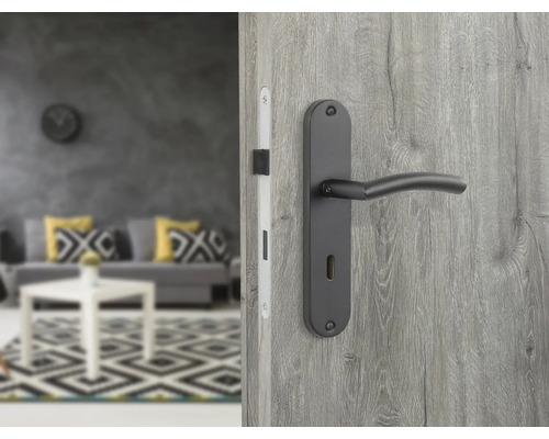 Zimmertür mit schwarzer Türklinke und Schlosskasten im Wohnraum