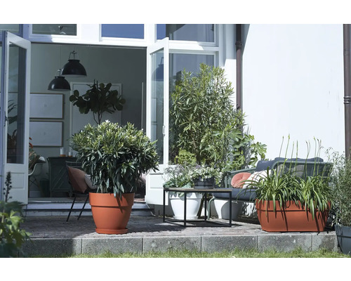 Terrasse mit Pflanzen in Töpfen, Gartenmöbeln und geöffneter Tür zum Innenraum