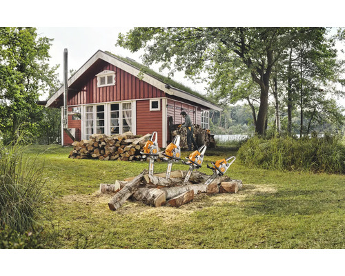 Szene mit Blockhaus, Holzstapel und vier Kettensägen