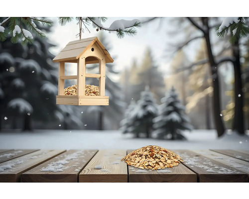 Vogelhaus aus Holz mit Futter im Winter