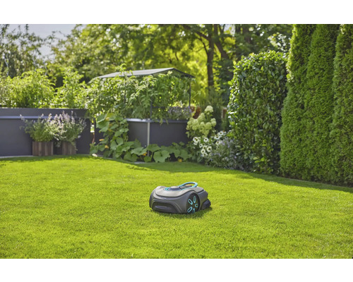 Rasenmäherroboter auf Rasen vor Garten mit Hochbeeten und Hecken