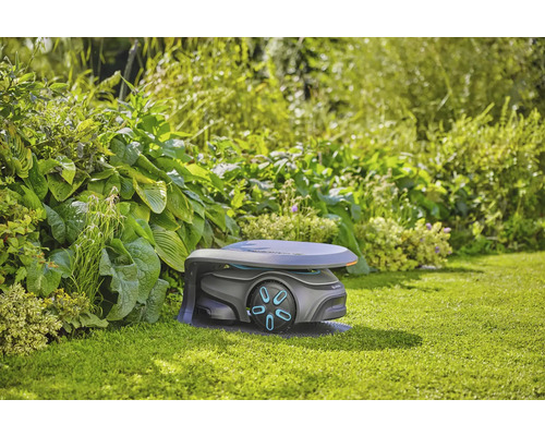 Rasenmähroboter auf einer Rasenfläche vor Büschen