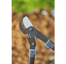 Astschere für den Baumschnitt