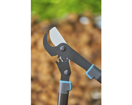 Astschere für den Baumschnitt