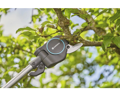 Gartenschere mit Stiel zum Schneiden von Ästen in einem Baum