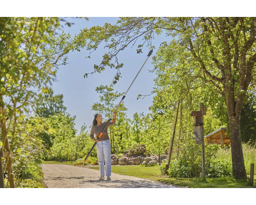 Frau benutzt eine Astschere mit Teleskopstiel im Garten, um Äste zu schneiden