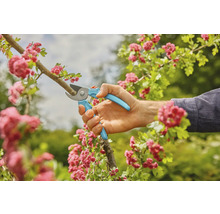 Gartenarbeit: Eine Hand benutzt eine Gartenschere, um einen Ast mit Blüten zu schneiden.
