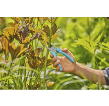 Gartenschere im Einsatz zum Stutzen von Pflanzen