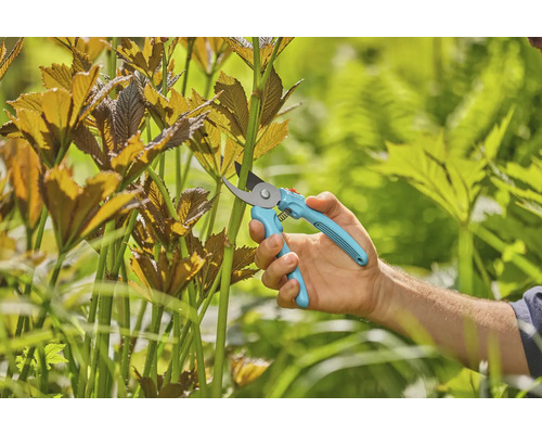 Gartenschere im Einsatz zum Stutzen von Pflanzen
