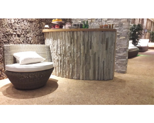 Innenaufnahme eines Ruhebereichs mit Bar und Sitzgelegenheiten.