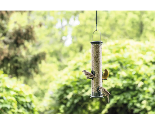 Vogelfutterspender mit Vögeln im Garten