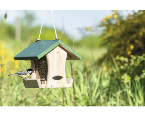 Vogelhäuschen mit Vogelfutter und Vogel im Garten