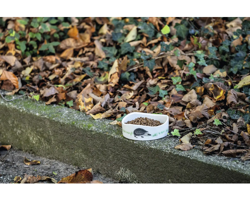 Futternapf für Igel mit Futter