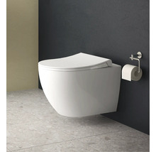 Wandhängendes WC mit Toilettenpapierhalter im Badezimmer.