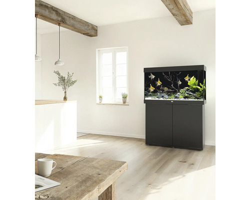 Eingerichtetes Aquarium mit Unterschrank in einem hellen Raum