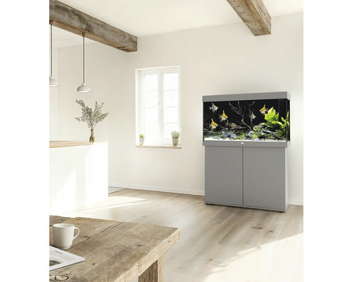 Modernes Aquarium mit Unterschrank im Wohnraum, beleuchtet und mit Fischen