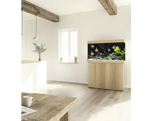 Aquarium mit Fischen, Pflanzen und Unterschrank in einem hellen Raum