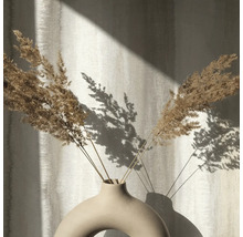 Dekorative Trockenblumen in einer Keramikvase