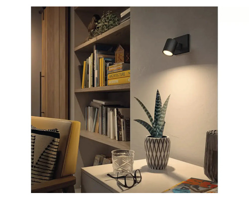 Wohnzimmer mit Wandleuchte, Regal und Zimmerpflanze auf einem Tisch