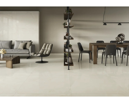 Modernes Wohnzimmer mit Sofa, Sessel, Regal, Esstisch und Bodenfliesen