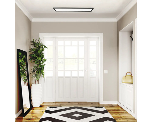 Eingangsbereich mit Deckenleuchte, Spiegel, Zimmerpflanze, Teppich und Garderobe