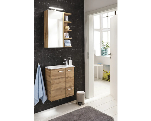 Badezimmer mit Waschtisch, Spiegelschrank und Dekoration