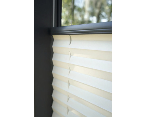 Nahaufnahme einer Plisseejalousie am Fenster