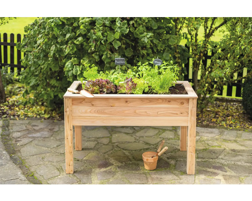 Hochbeet aus Holz mit Salat und Kräutern im Garten