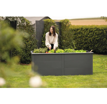 Eine Frau erntet Salat in einem Hochbeet im Garten.
