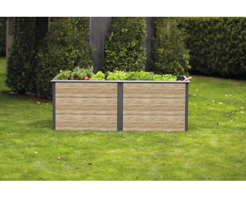 Hochbeet aus Holz und Metall auf einer Rasenfläche mit angepflanztem Gemüse.