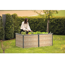 Frau pflanzt Gemüse in ein Hochbeet im Garten.