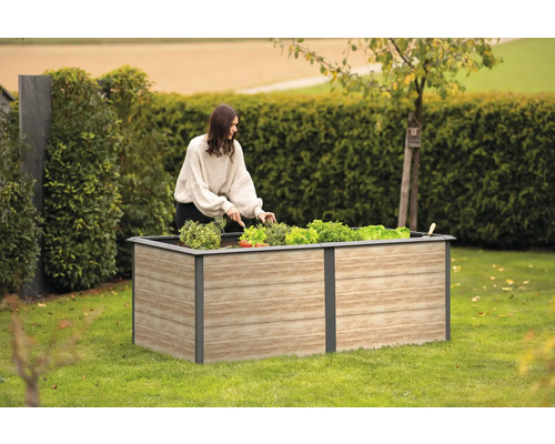 Frau pflanzt Gemüse in ein Hochbeet im Garten.