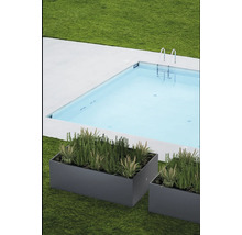 Schwimmbad mit Pflanzen in Pflanzkästen