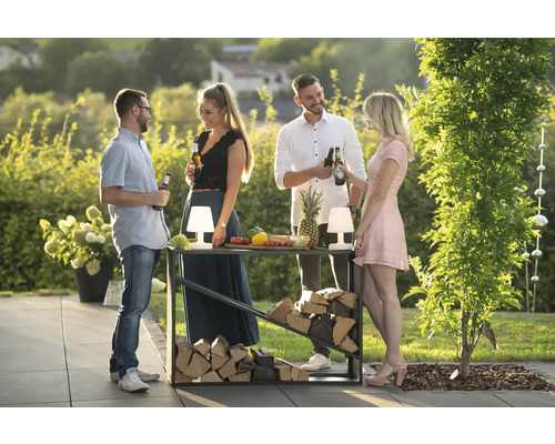 Gartenszene mit Holzlager, Tisch und vier Personen, die Getränke genießen