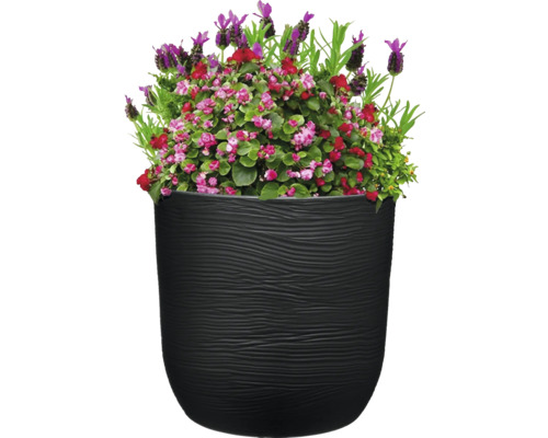 Blumentopf mit Bepflanzung aus Lavendel und Begonien