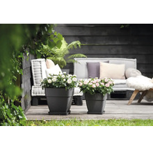Blumentopf Elho Vibia Kunststoff 36 x 36,4 x 35,6 cm eckig schwarz