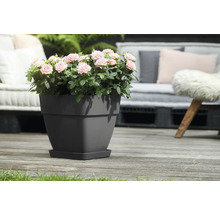 Blumentopf Elho Vibia Kunststoff 36 x 36,4 x 35,6 cm eckig schwarz