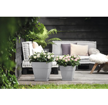 Blumentopf Elho Vibia Kunststoff 29 x 28,8 x 28,2 cm eckig grau
