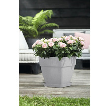 Blumentopf Elho Vibia Kunststoff 29 x 28,8 x 28,2 cm eckig grau