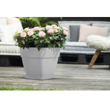 Blumentopf Elho Vibia Kunststoff 36 x 36,4 x 35,6 cm eckig grau