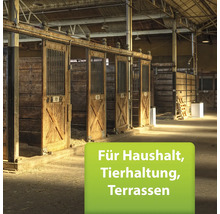 Innenraum mit Pferdeboxen aus Holz für die Tierhaltung