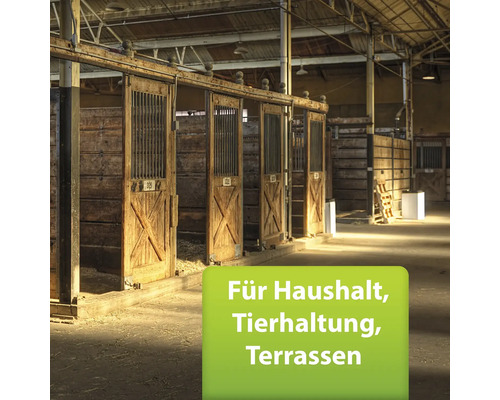 Innenraum mit Pferdeboxen aus Holz für die Tierhaltung