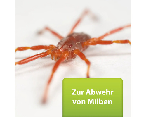 Milbe zur Schädlingsbekämpfung