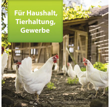 Hühner in einem Hühnerstall im Freien für Haushalt, Tierhaltung, Gewerbe