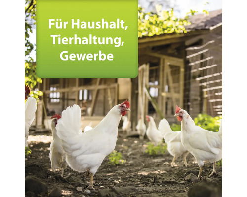 Hühner in einem Hühnerstall im Freien für Haushalt, Tierhaltung, Gewerbe