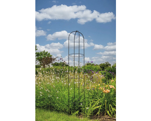 Pflanzenstütze aus Metall im Garten mit Blumen und blauem Himmel