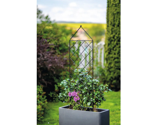 Pflanzkasten mit Kletterhilfe im Garten