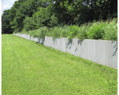 Lange Gartenmauer aus Beton mit Bewuchs