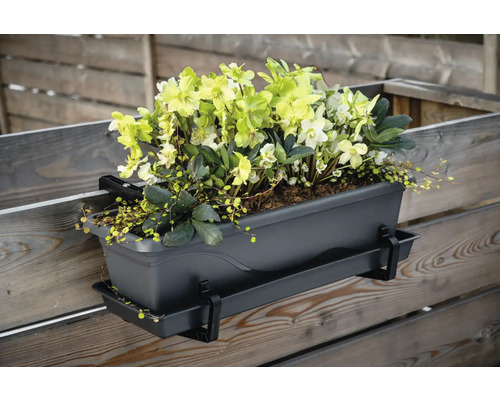 Blumenkasten mit Blumen zur Montage an einem Zaun