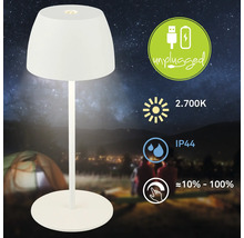 Tischleuchte mit Akku und den Symbolen für Akkubetrieb, Lichtfarbe 2700 Kelvin, Schutzart IP44 und Dimmbarkeit von 10 bis 100 Prozent